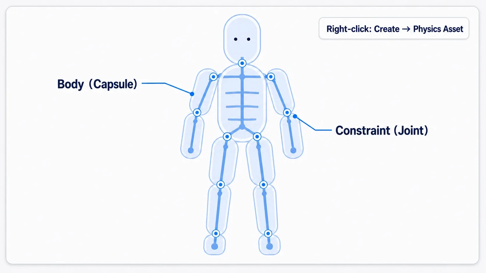The contents of a Physics Asset. A figure showing each bone with a capsule physics body, connected by joints, in the Physics Asset Editor