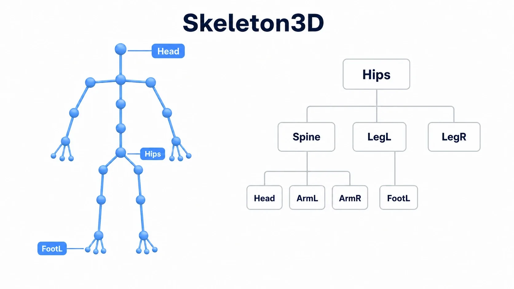 A diagram of the Skeleton3D bone hierarchy. A humanoid skeleton alongside a bone tree branching from Hips into Spine and Leg