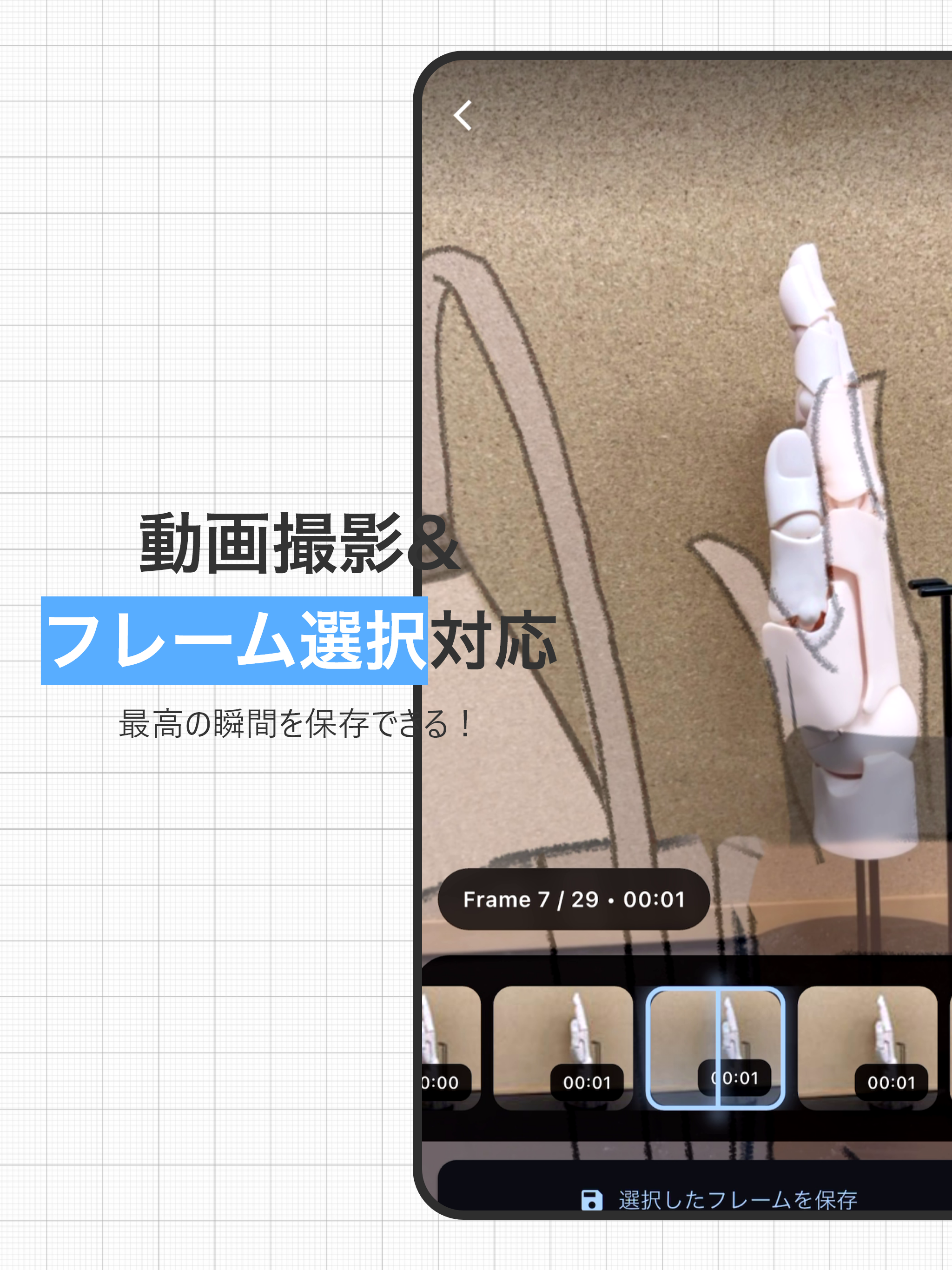 設定とプレビュー画面 - iPad